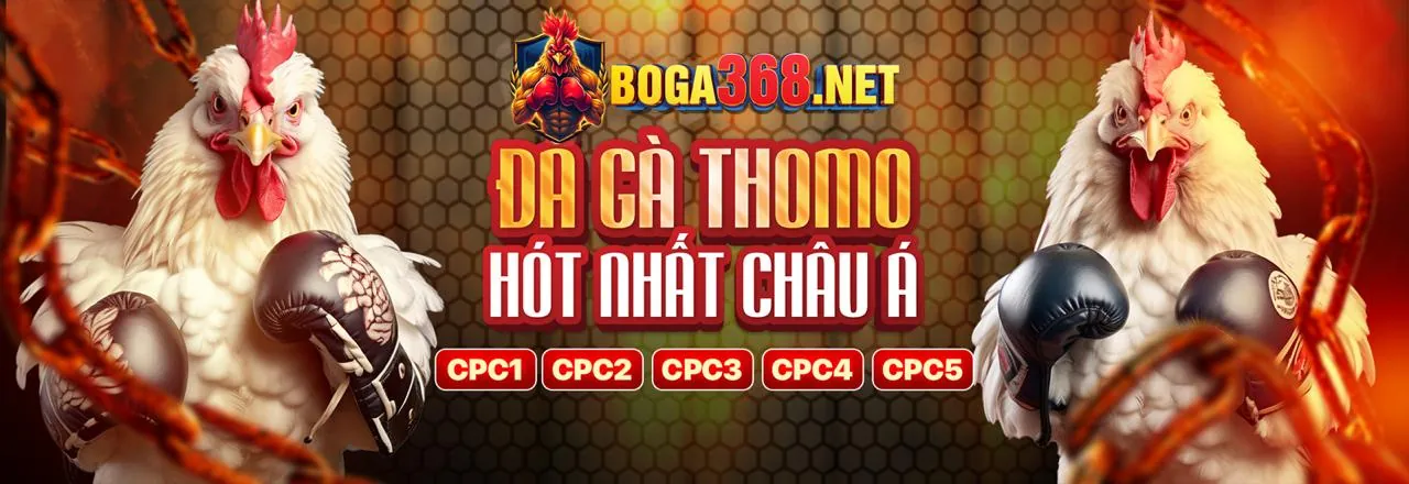 Đá gà trực tuyến kịch tính tại eubet win